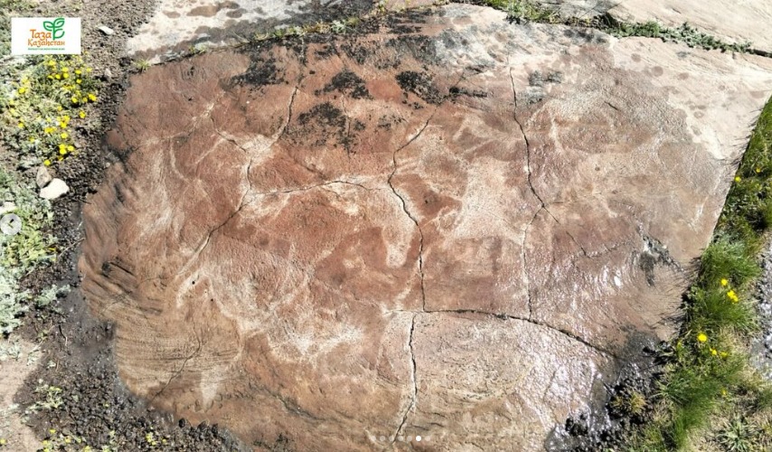 WhatsApp Image 2026 04 24 at 15.55.31 2